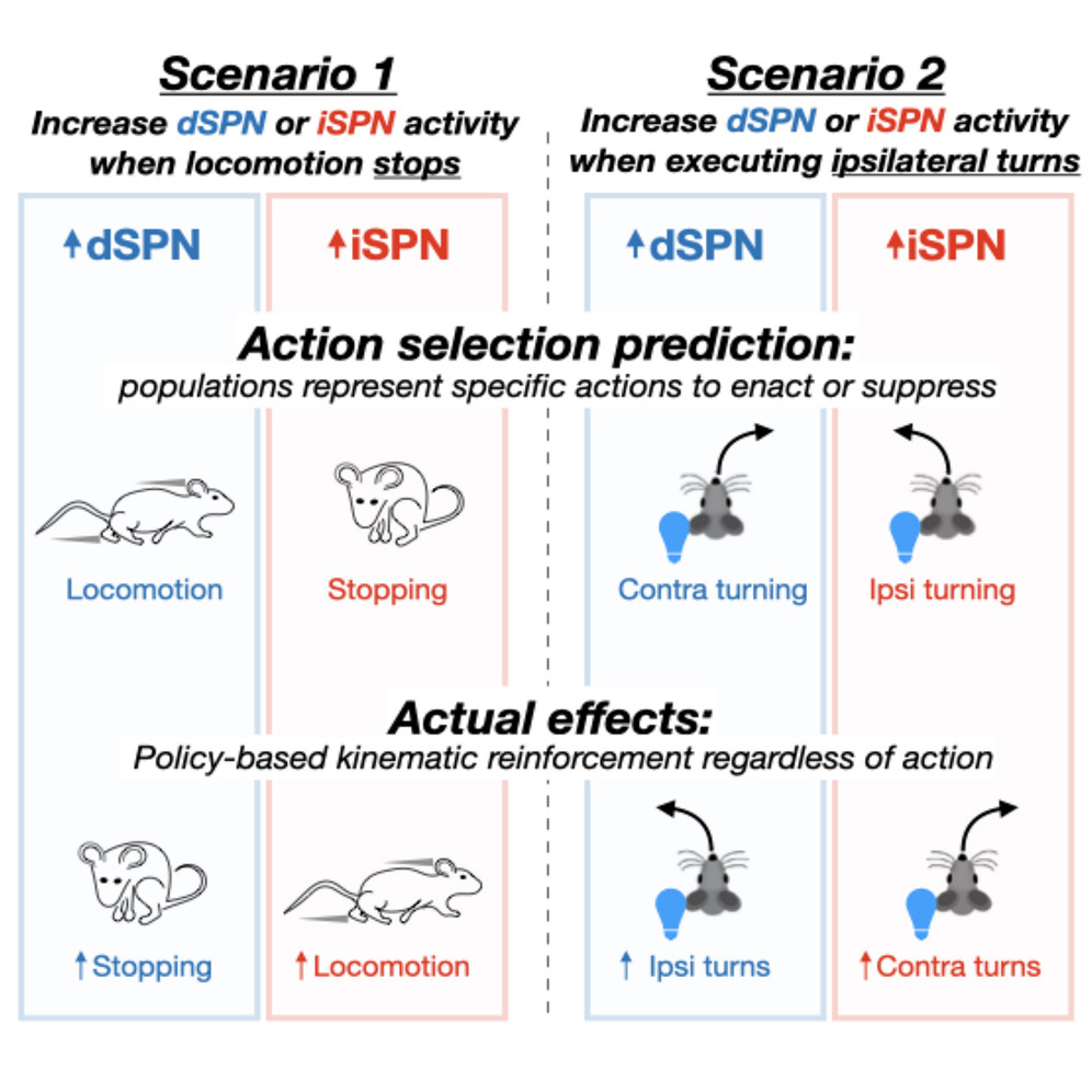 The Yttri Lab tweet media