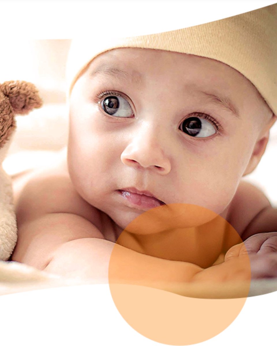 Ei SMART tweet media