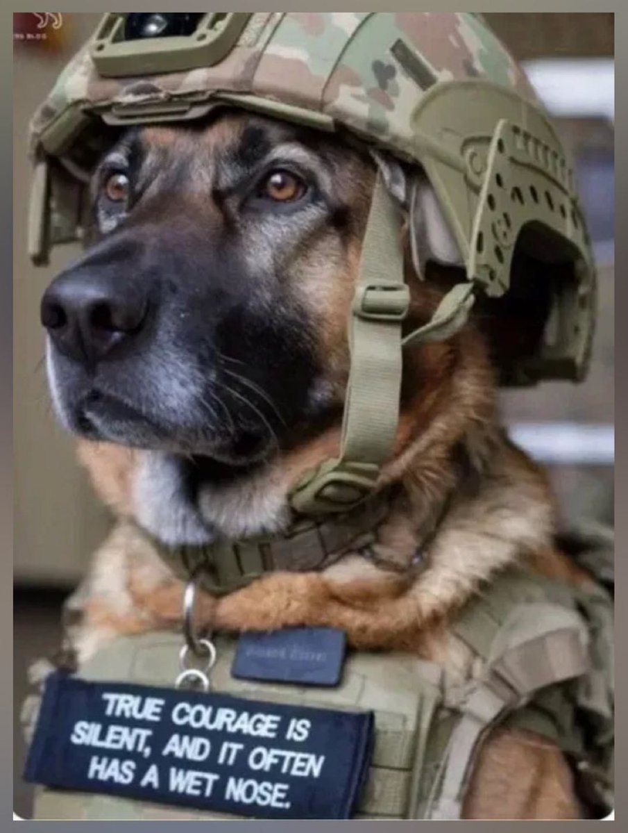 Cecilia Attias (@ceciliaattias) on Twitter photo 