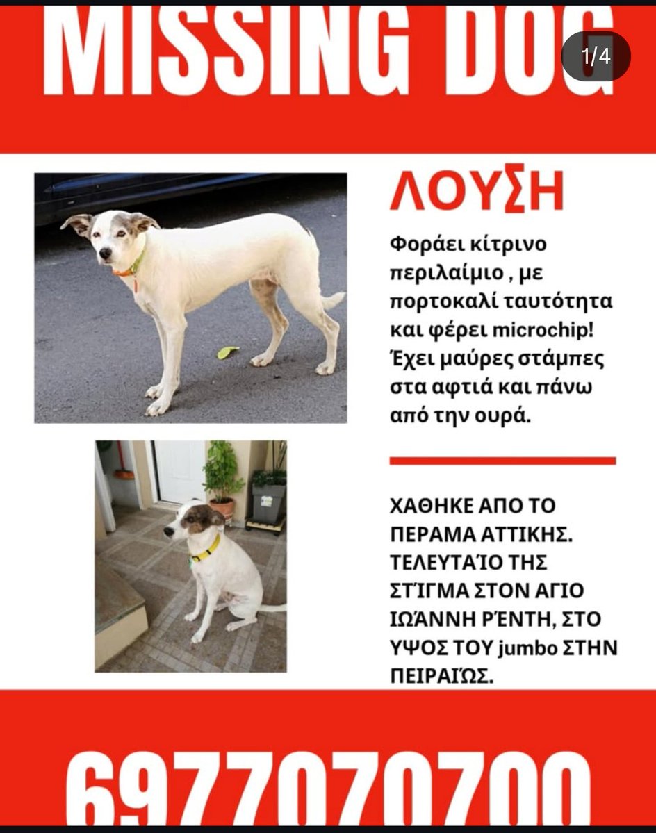 Για κάντε ένα RT μπας και βρεθεί το σκυλί ενός γνωστού μου.
Είναι άσχημο αλλά παρόλα αυτά το θέλει.