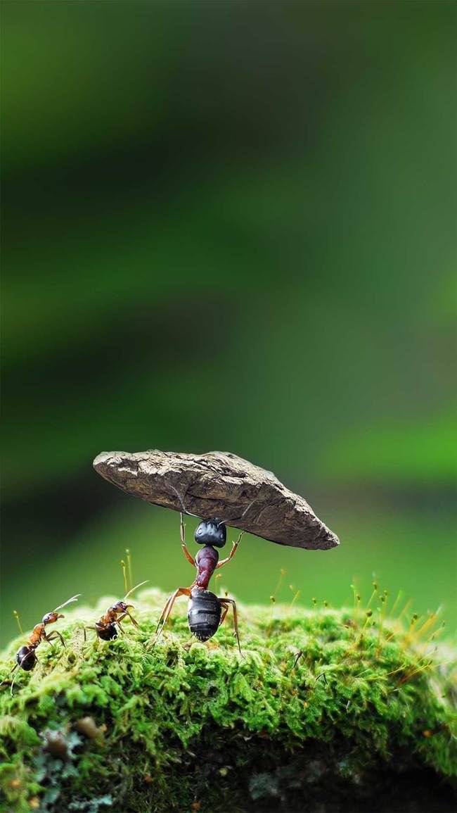 Be strong and courageous 💪🏻🙏