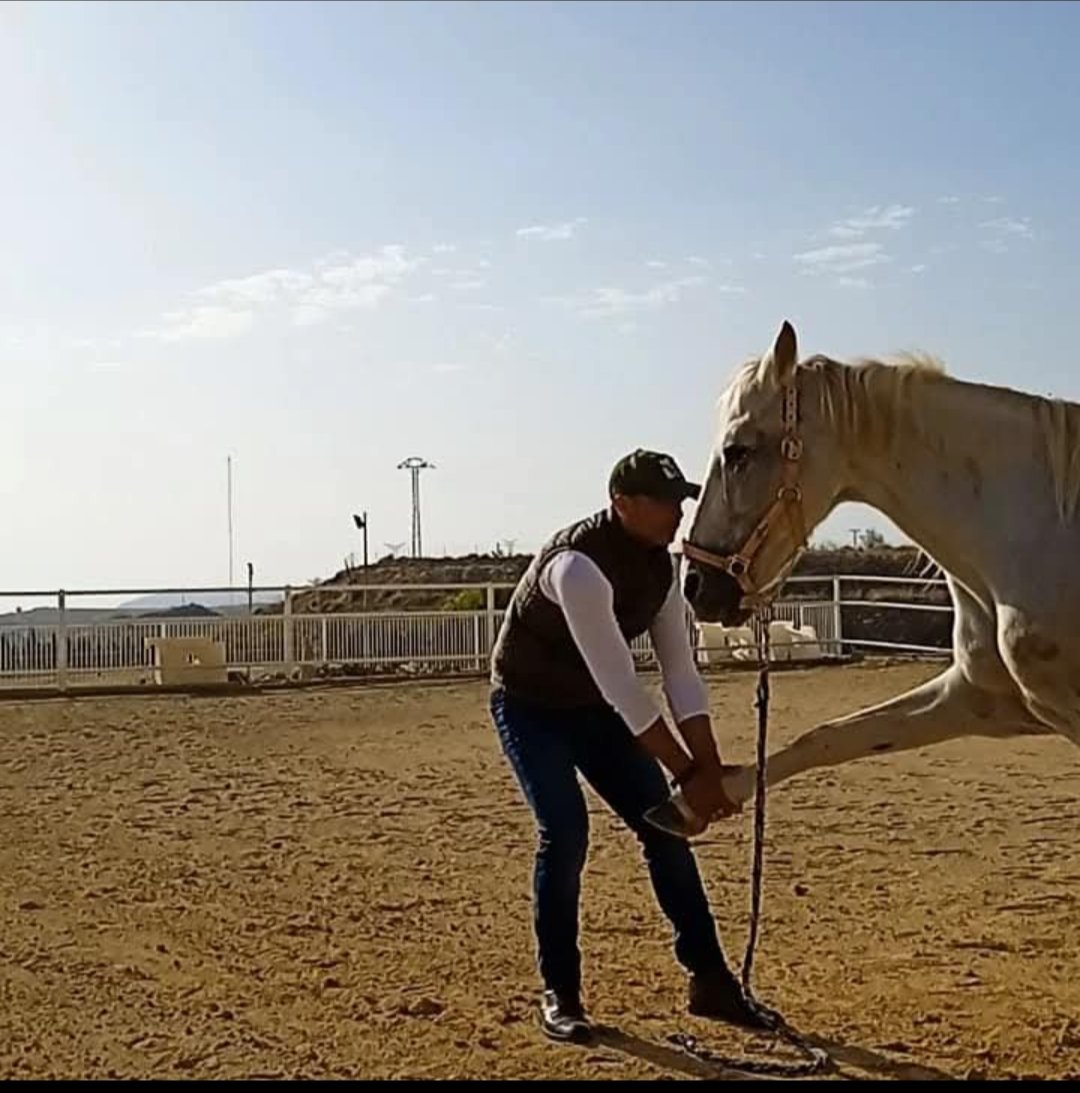 Marcos Vale tweet media