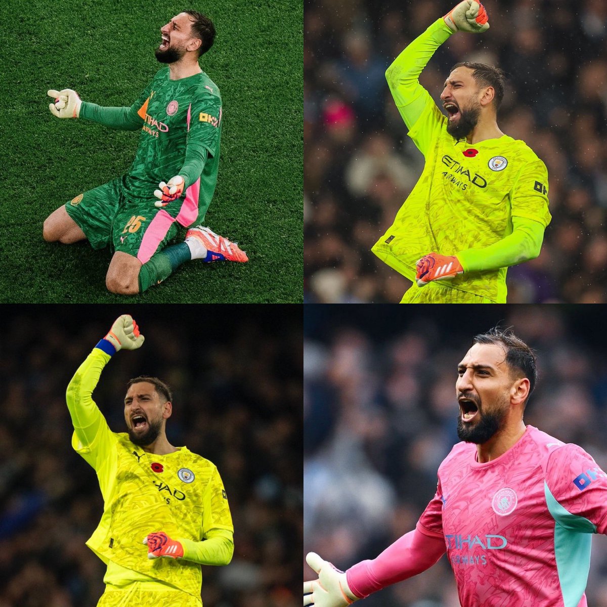 new fav genre of pictures : donnarumma passionately celebrating with the fans