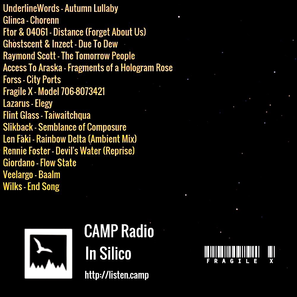 If you missed Monday nights episode of “In Silico” you can now listen back at the <a href="/listen_camp/">CAMP Radio</a> Mixcloud.

Feat <a href="/Glinca1/">Glinca</a> <a href="/FlintGlass/">Gwenn Tremorin</a> <a href="/slikback/">友</a> <a href="/LenFaki/">Len Faki</a> <a href="/renniefoster/">Rennie David Foster</a> <a href="/Nick_Wilkinson/">Nick Wilkinson</a> and more.

Stream ⬇️
mixcloud.com/camp_fr/fragil…