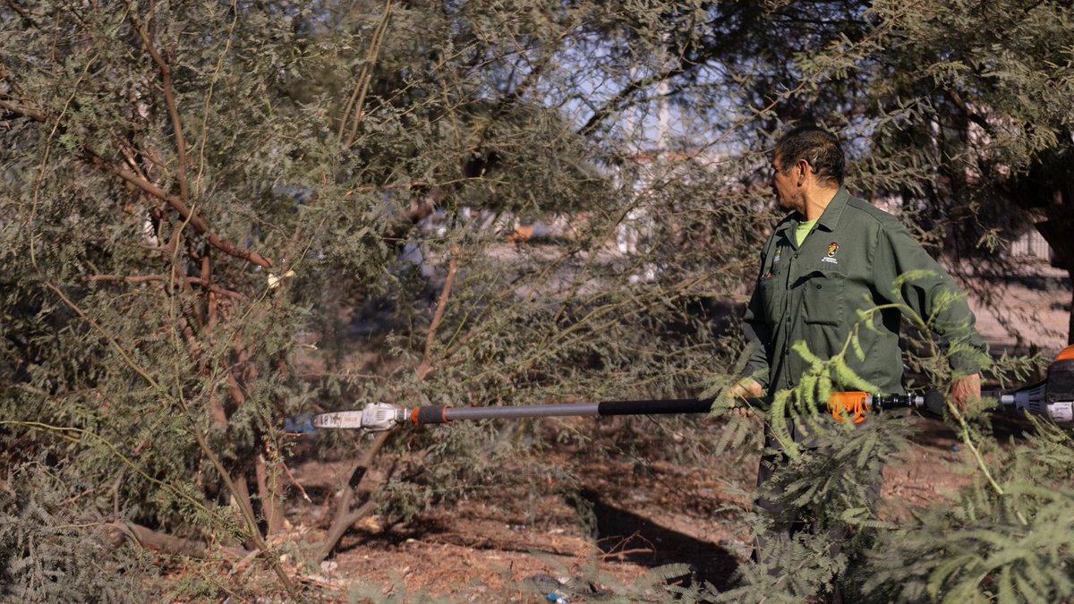 Esta mañana, en la colonia Lomas Altas, supervisamos la limpieza de predios, el borrado de grafiti y la rehabilitación del alumbrado para que las familias tengan espacios más seguros. #UniendoEsfuerzos transformamos #Mexicali para que se vea y se sienta mejor.