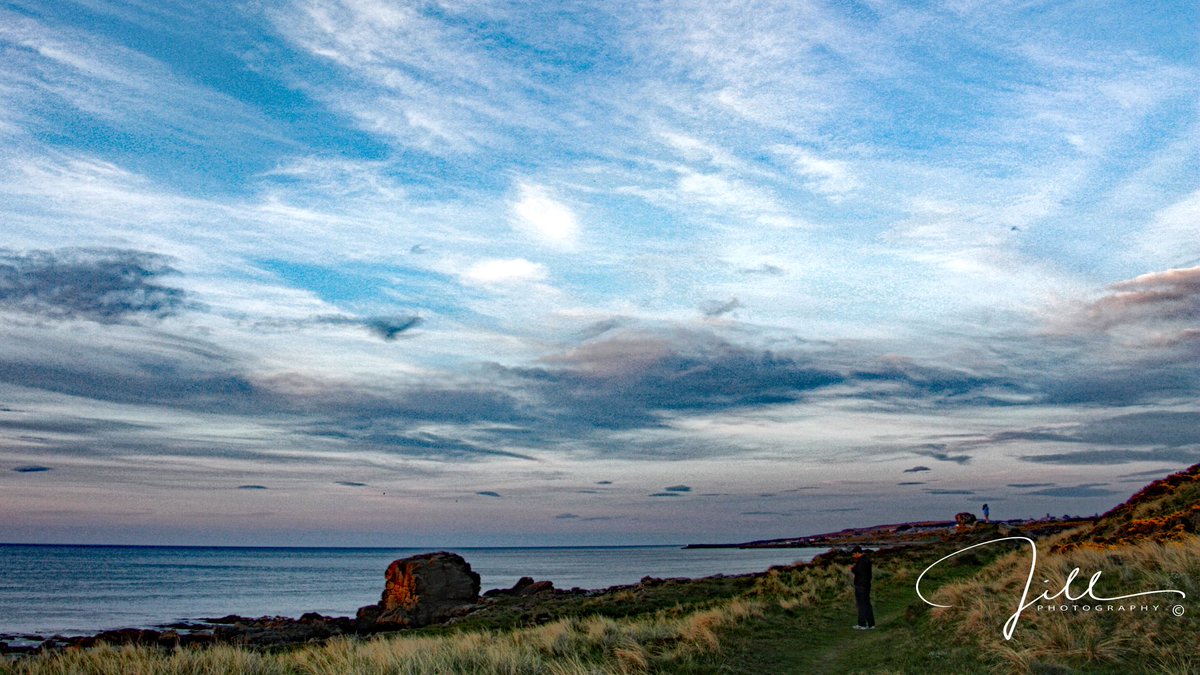 ScottishJill's tweet image. #TuesdayBlue 🏴󠁧󠁢󠁳󠁣󠁴󠁿