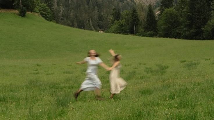 vibelyra 🦢 tweet media