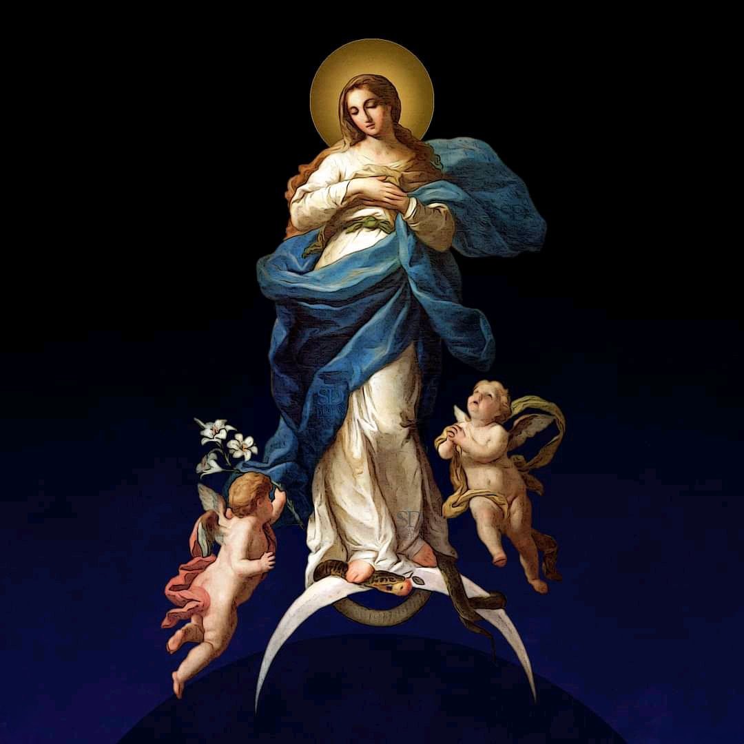 Nuestra Señora, Corredentora y Mediadora de Todas las Gracias, ruega por nosotros 🙏🏻