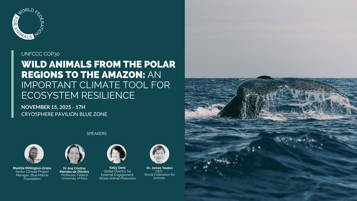 At #COP30 Cryosphere Pavilion, <a href="/WrldFed4Animals/">World Federation for Animals</a> will explore how the Animals for Action tool provides countries with science-based policy options to integrate into their NDCs.
bit.ly/49MPyX7
#Animals4Climate