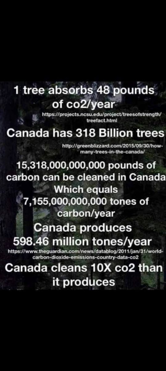 treefactor1's tweet image. Go Canada...