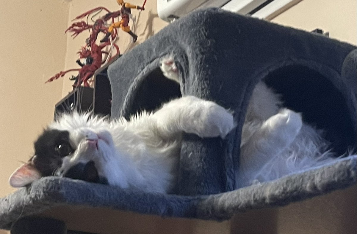 pepperbug's tweet image. okay man whatever you wanna do