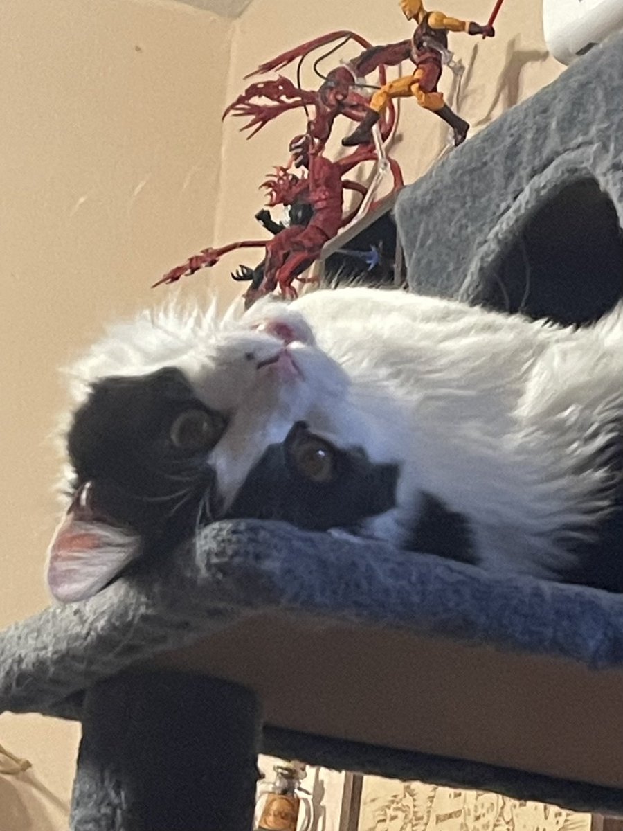 pepperbug's tweet image. okay man whatever you wanna do