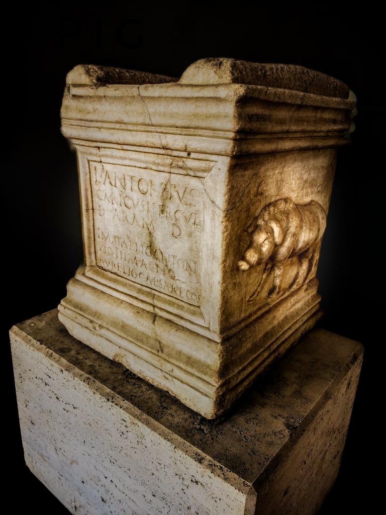 antmoose's tweet image. Putting the #pig into #EpigraphyTuesday with this altar from 140 CE dedicated to Hercules by one Lucius Antonius Caricus. Lovely #Antonine formal script and on both sides, a high #relief showing a splendid pig, the unfortunate sacrifice. From the #BathsofDiocletian.