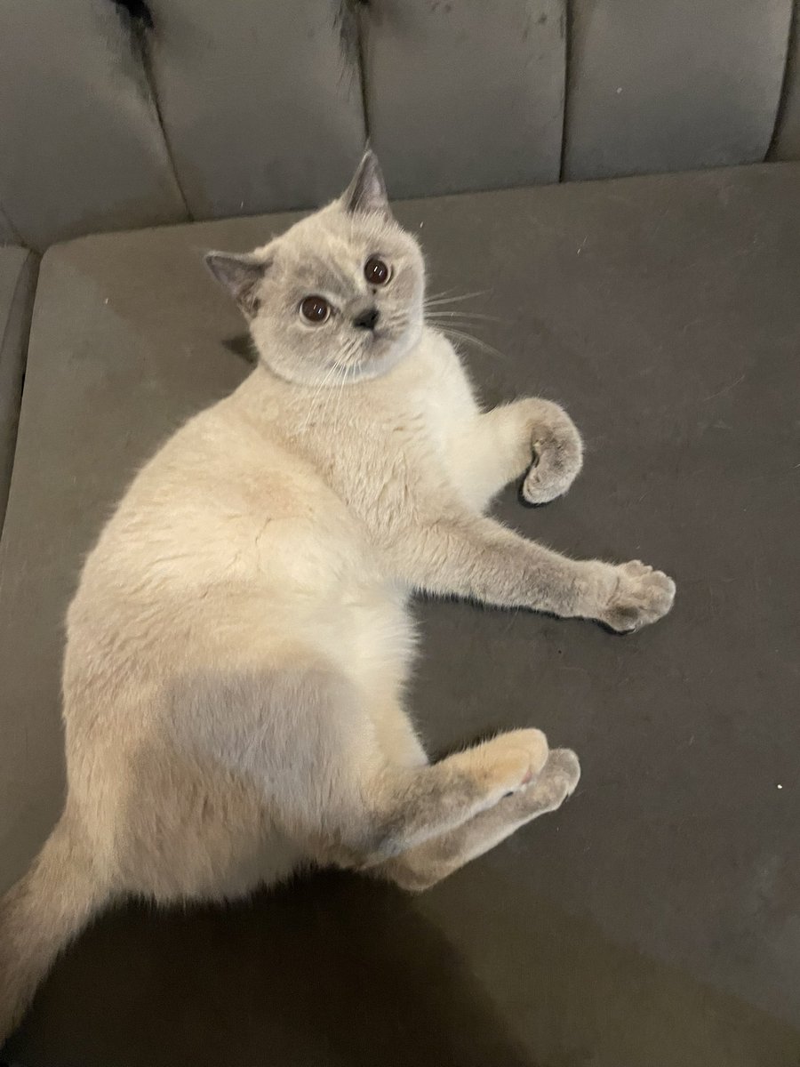 Selamün aleyküm. 36 saattir hiç uyumadım, adımı sorsanız yanlış cevap verecek haldeyim

Furkan Bölükbaşı’nın hepinize çok selamı var. ‘Elhamdülillah, iyiyim. Bu günler geçecek,’ dedi. Son sözü ise ‘Kedilerimi yalnız bırakmayın’ oldu. Sen benim hayatımda gördüğüm en güçlü insansın