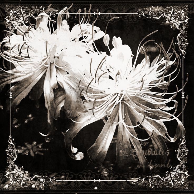 iamrvian's tweet image. havent eaten anything today and here is my dinner