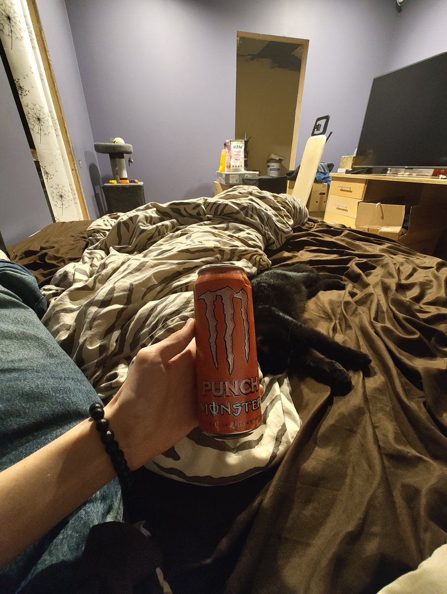 iamrvian's tweet image. havent eaten anything today and here is my dinner