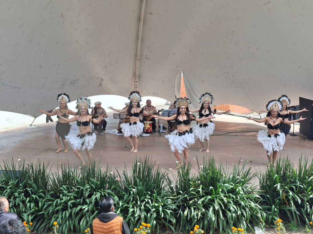 Embajada de Chile en México tweet media