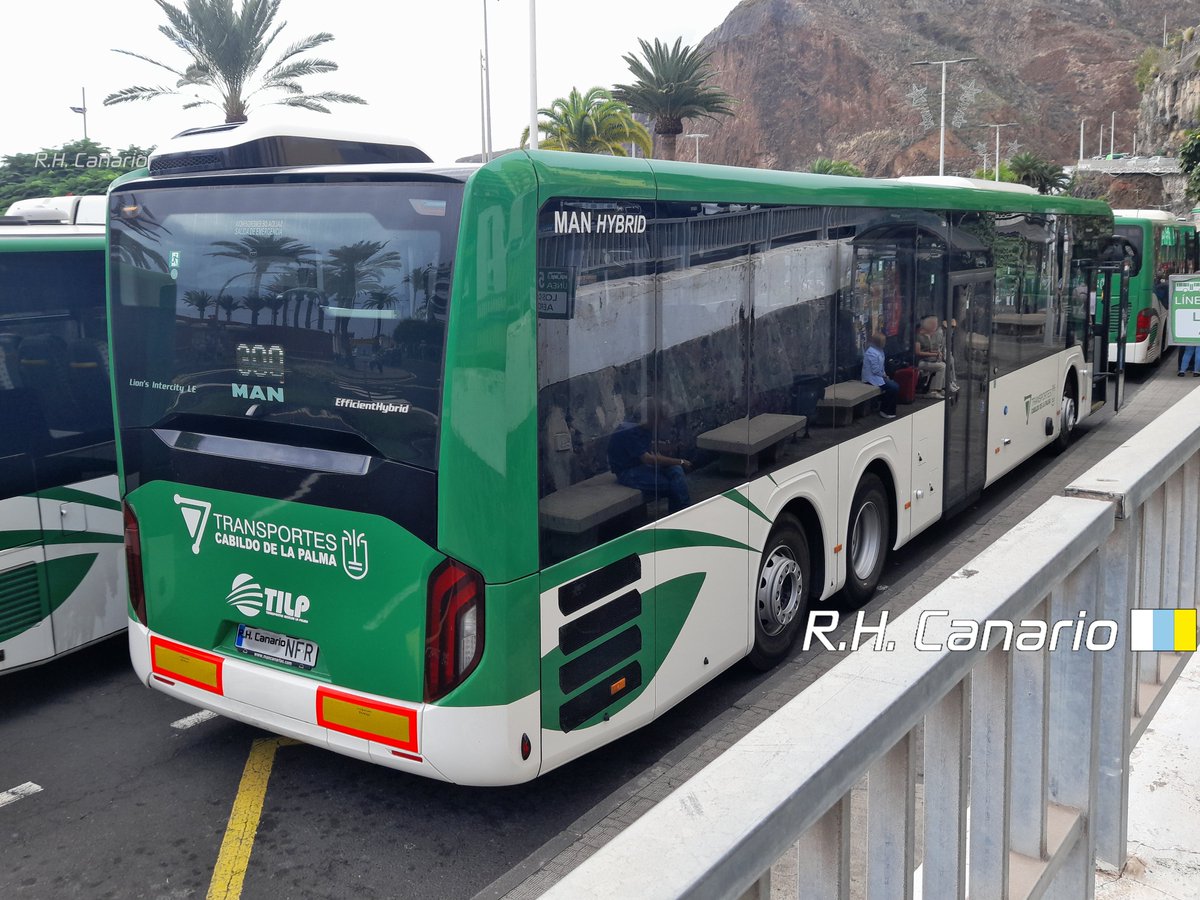 modcanario's tweet photo. 🇮🇨 Nº 1050 Guagua de Transportes Insular La Palma
🇩🇪 2024 MAN Lion's InterCity LE 14 44C EfficientHybrid 1556 LOH 48v S&amp;S 14,435 m [LEÜ 360]

#MAN #MANBUS #MANLionsInterCity #MANLEÜ360 #Guagua #Guaguas #LaPalma #TransportesInsularLaPalma #TILP #BUS #Autobusy #Автобус #Autobus https://t.co/xIZqrsxFFW