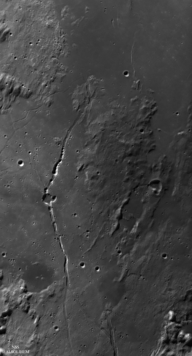 ناصر الصليهم tweet media