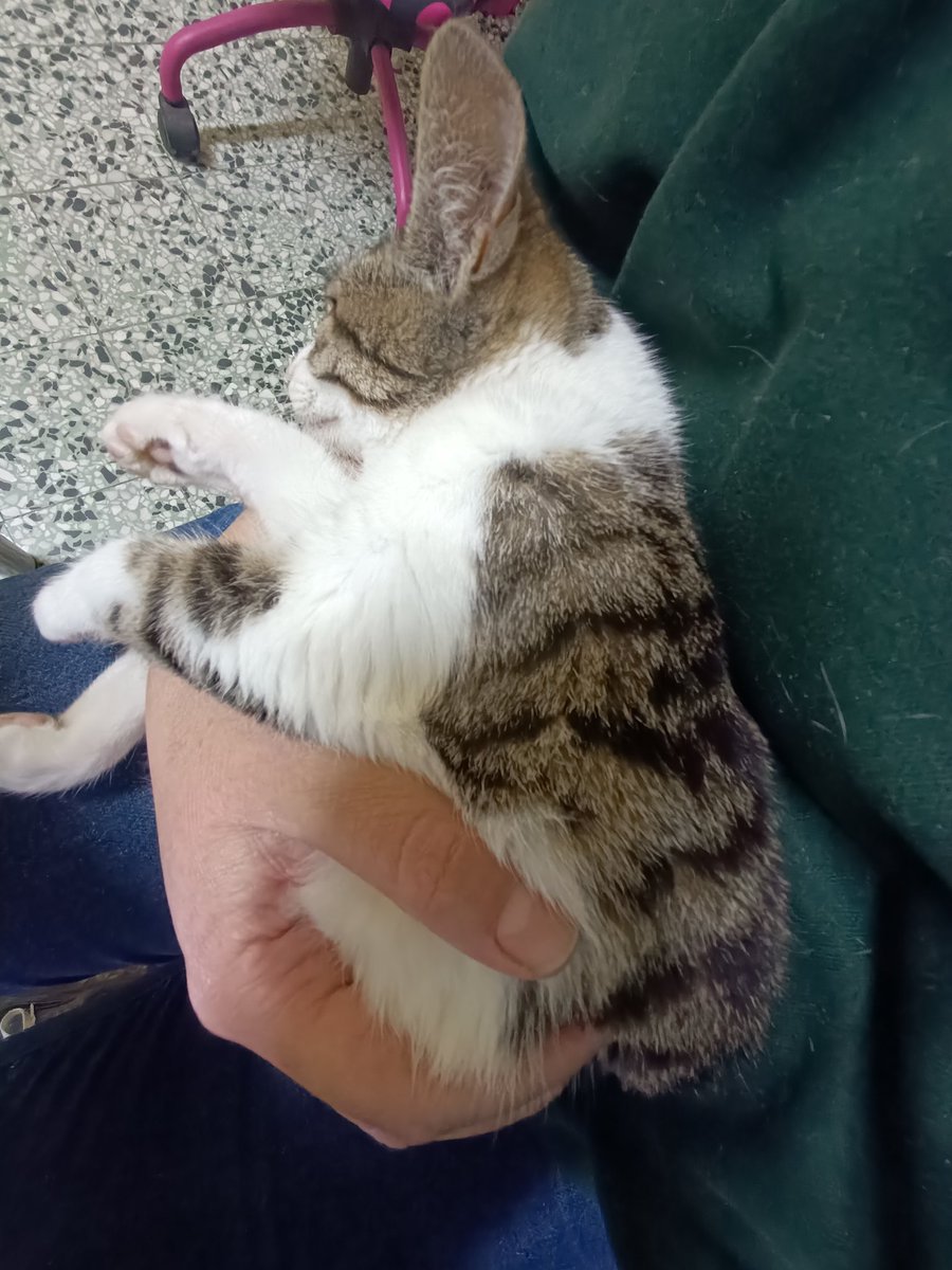 Πως θα ηθελα να κοιμαμαι τωρα, ακριβης απεικονιση