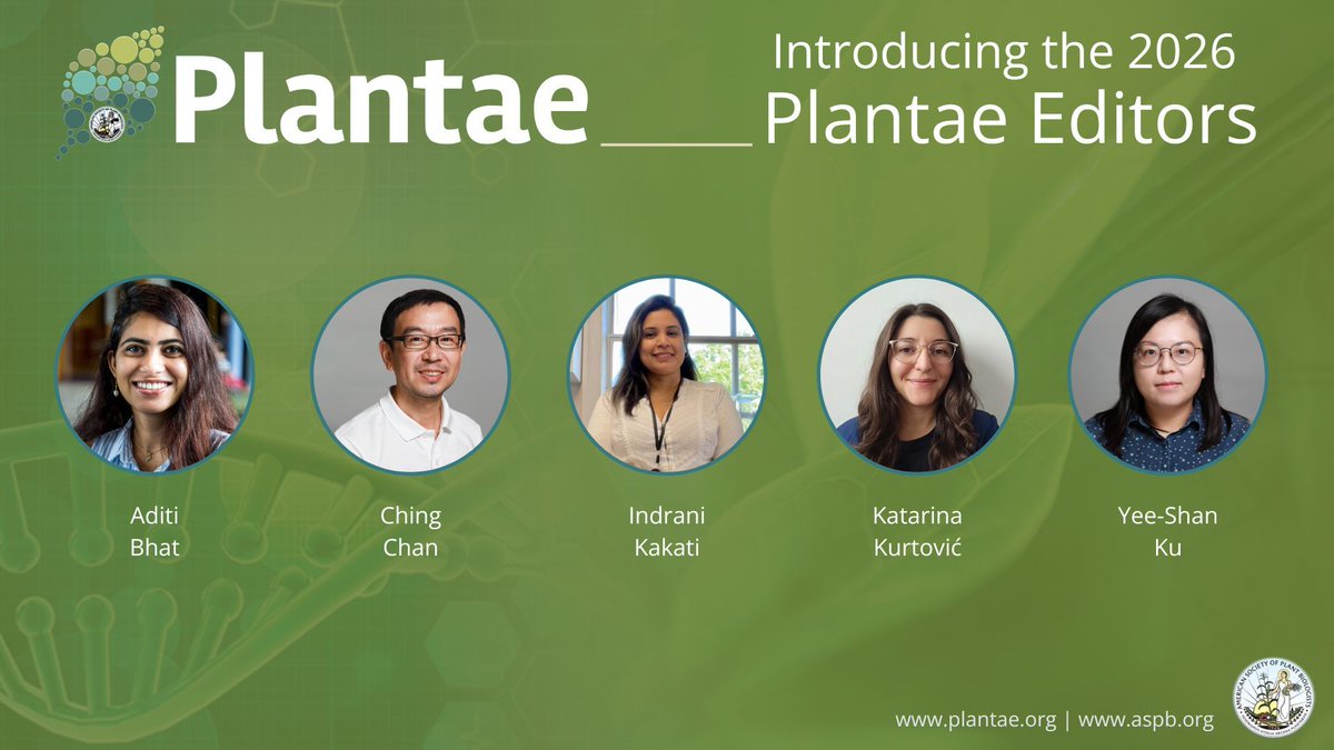 📣Introducing the 2026 Plantae Editors! Returning in 2026, ASPB has appointed its new group of Plantae Editors to further support Plantae's growth and goal to serve as a community resource for plant biologists, by plant biologists.🌱 

Read more:  plantae.org/aspb-plantae-e…