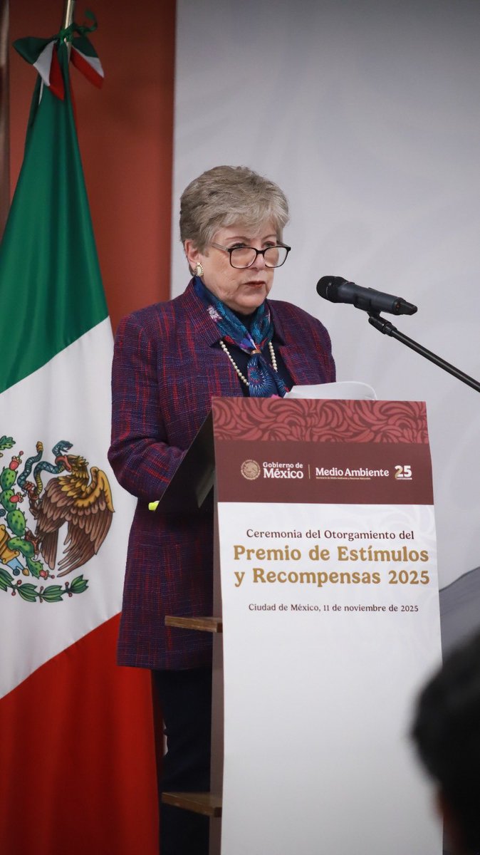 Alicia Bárcena tweet media