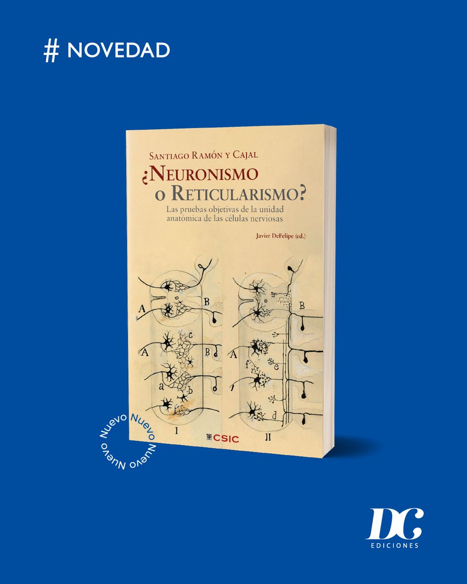 Doce Calles tweet media