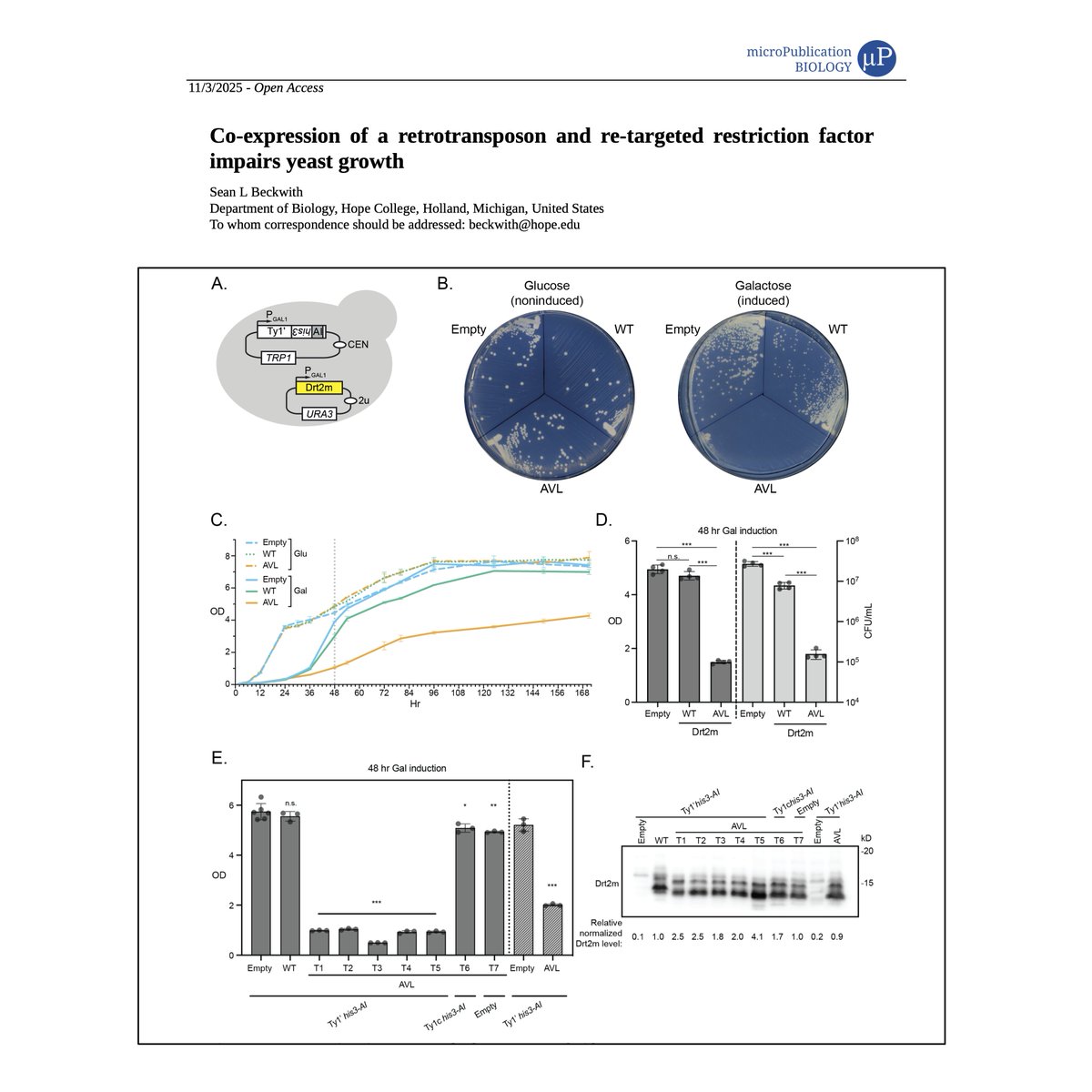 Sean Beckwith tweet media