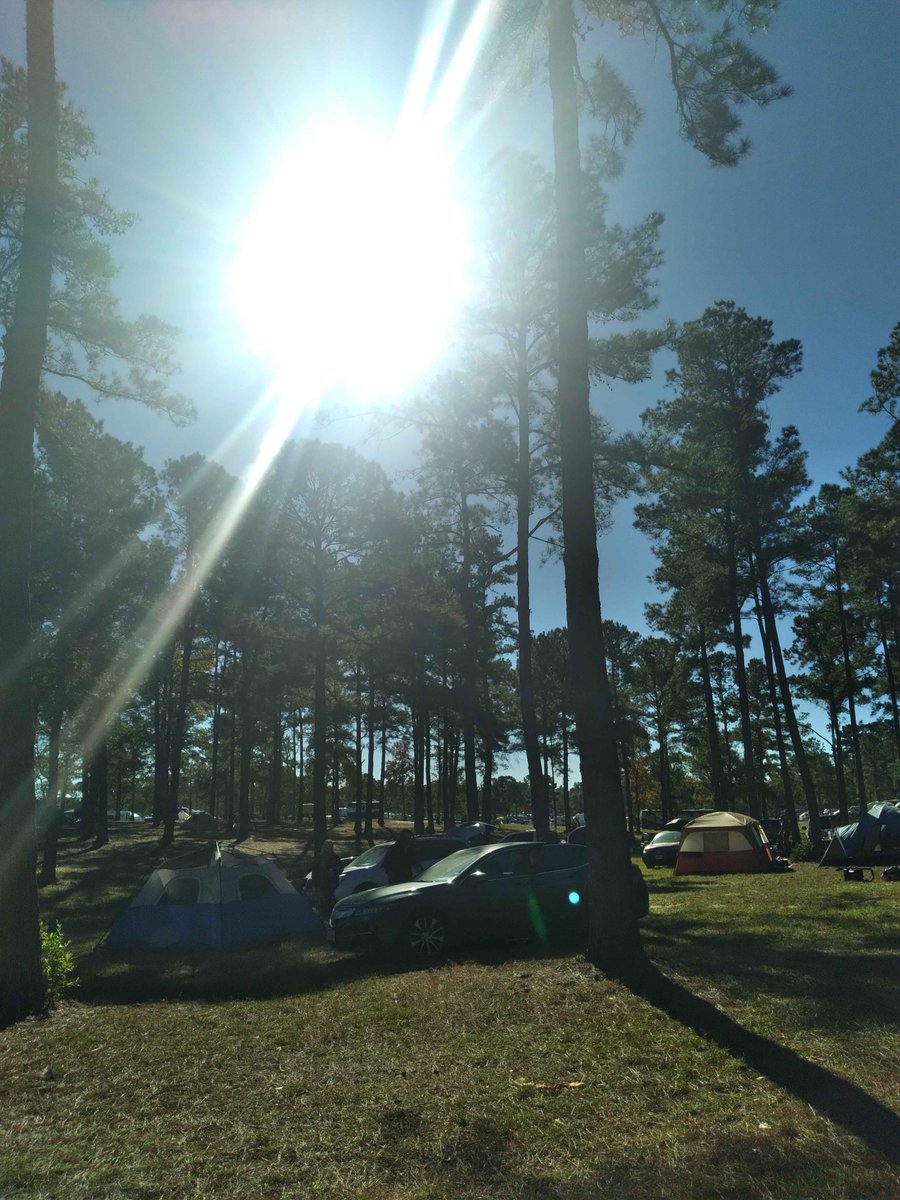 GM everyone! This is your friendly reminder to take breaks and touch grass! 🌟✨
I went camping this weekend with my metaverse crew! :D
How was your weekend?