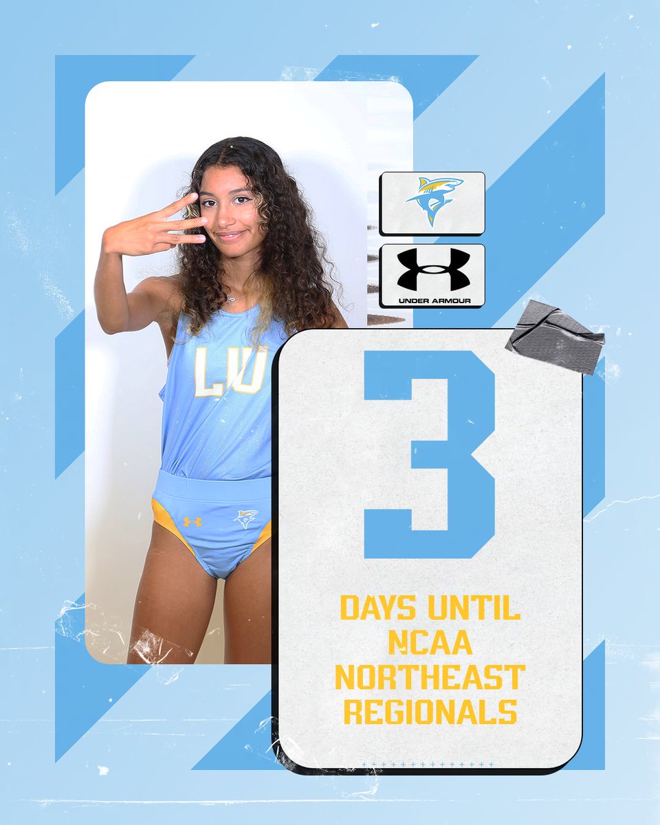 Back at it in 3 days! #FinsUp 🦈