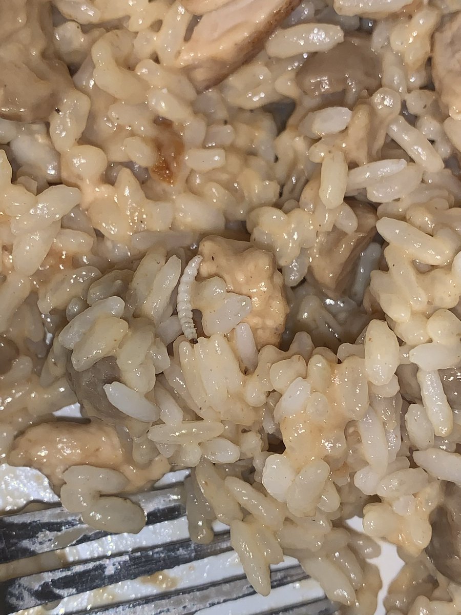 6nnjay's tweet image. Où est Charlie ? (Version asticot) 
Négligence de @CarrefourFrance #miam #precarite #lafrancedemacron