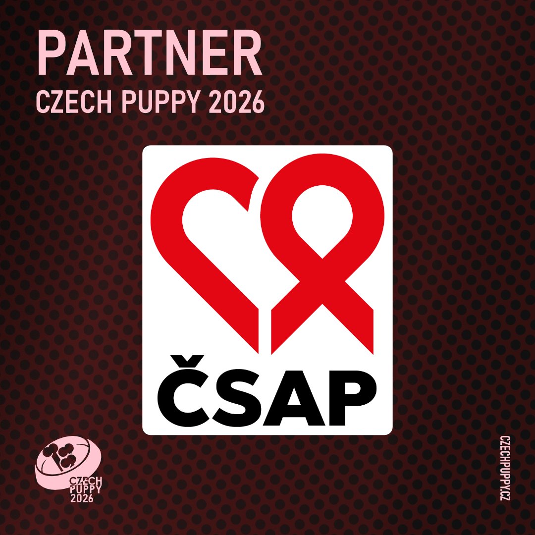 Jsem-Pes tweet media