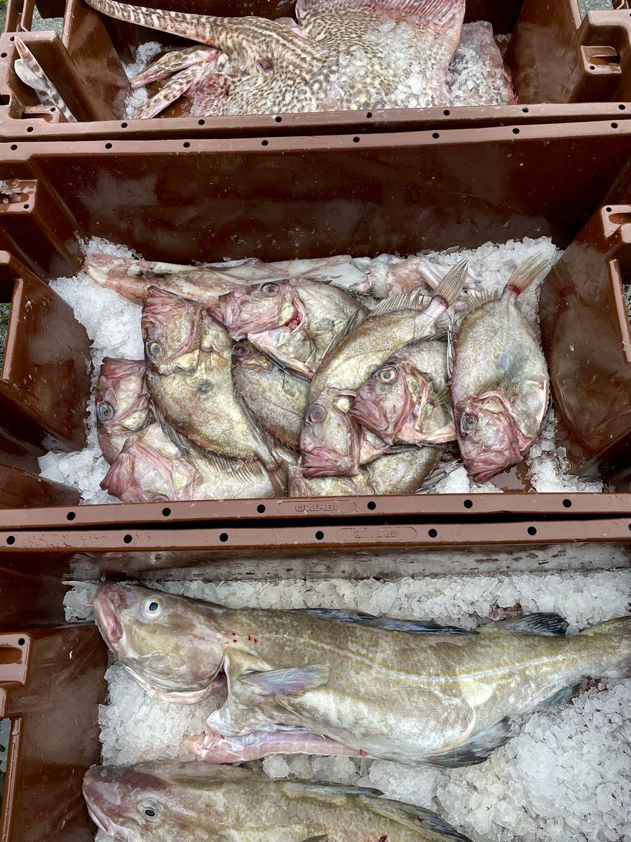 moore on the quay tweet media