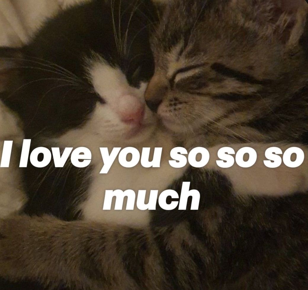 ۟ (@cyberetard) on Twitter photo 