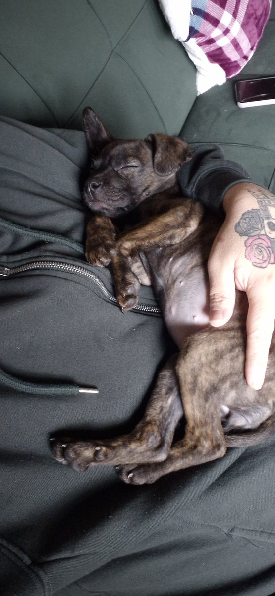 dean baverstock tweet media