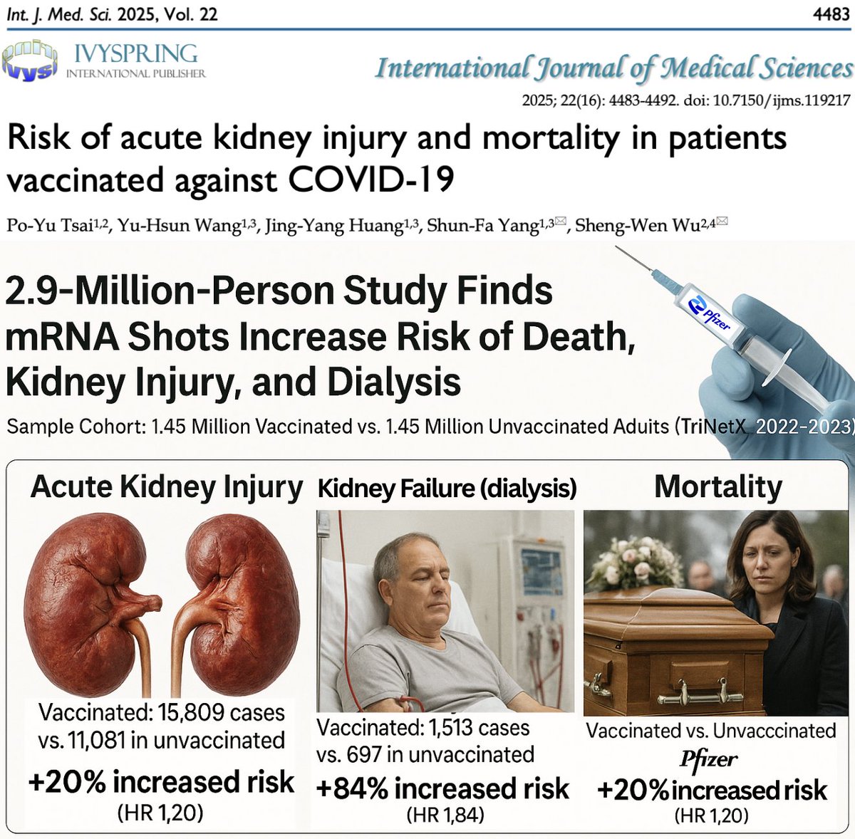 NicHulscher's tweet photo. 🚨BREAKING: 2.9 Million-Person Study Finds mRNA Shots Increase Risk of Death, Kidney Failure (Dialysis), and Kidney Injury

ENORMOUS vaccinated vs. unvaccinated study reveals progressively worsening kidney damage over time with NO sign of stopping — and a striking mortality signal among Pfizer recipients.

📈Acute Kidney Injury (AKI): +20% higher risk (HR 1.20; 95% CI 1.18–1.23)

📈Dialysis (Kidney Failure): +84% higher risk (HR 1.84; 95% CI 1.68–2.01)

📈Pfizer (BioNTech) All-Cause Mortality: +20% higher risk (HR 1.20; 95% CI 1.13–1.27)

This large-scale, real-world analysis drew from the health records of more than 100 million U.S. patients (TriNetX) to evaluate post-vaccine kidney and mortality outcomes over a full year of follow-up, adjusting for age, sex, race, comorbidities, and medication use through one-to-one propensity matching.

The findings are deeply concerning: acute kidney injury and dialysis rates were significantly higher in vaccinated individuals and continued to rise month after month with no indication of slowing. 

Dialysis — the mechanical filtering of blood used only when the kidneys can no longer function adequately — represents the most severe form of renal failure and underscores the gravity of the observed effect.

The authors excluded anyone who died within three months after vaccination to “standardize baseline health.” This maneuver erases the exact period when many fatal serious adverse events occur — myocarditis, embolism, cardiac arrest, or early multi-organ failure.

Thus, early vaccine deaths vanish from the data, leaving only survivors. The model then produces an illusory mortality reduction (HR 0.88).

Yet even under this protective bias, Pfizer’s vaccine still increased all-cause mortality by 20%, implying that the true risk would be substantially higher if early deaths were included.

The data speak for themselves: mRNA shots trigger progressive organ damage — from the heart and brain to the kidneys — and the harm is still accelerating.