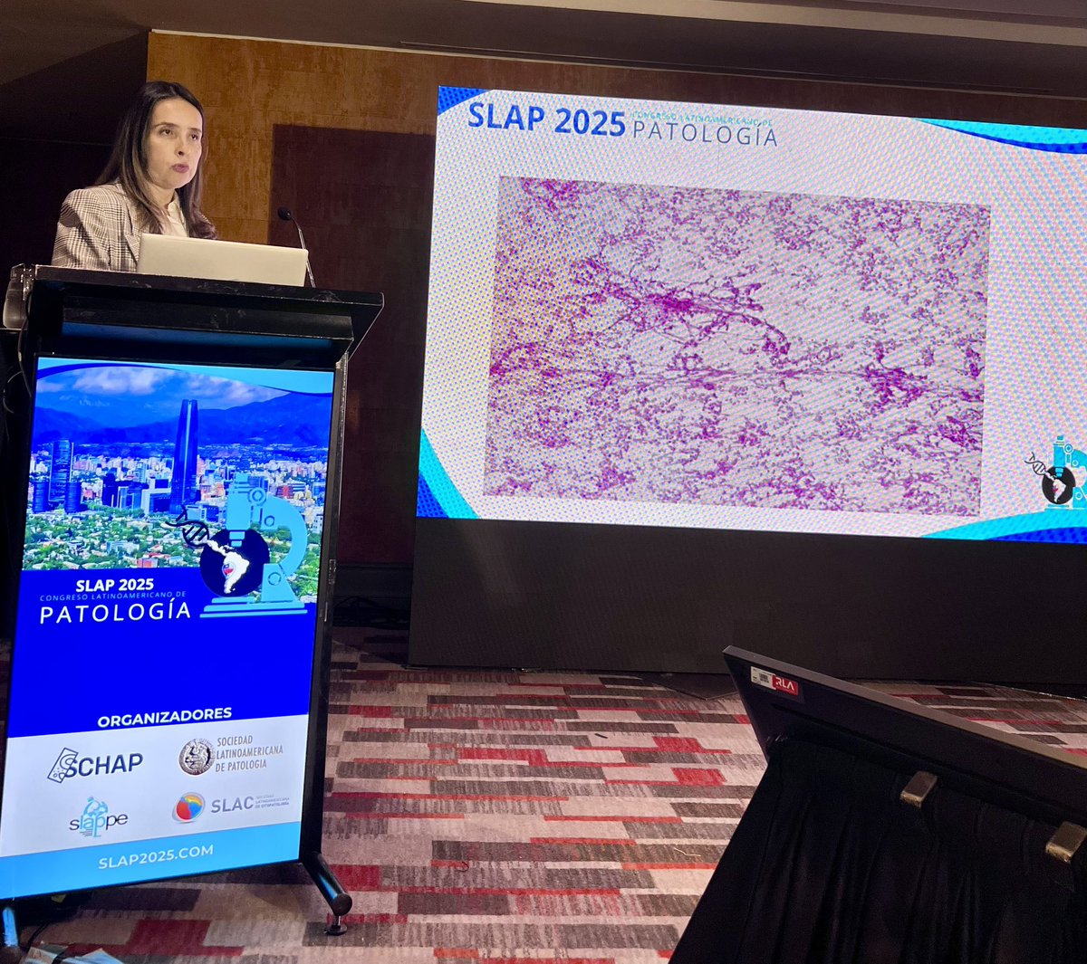 FridaRosenblum's tweet image. 