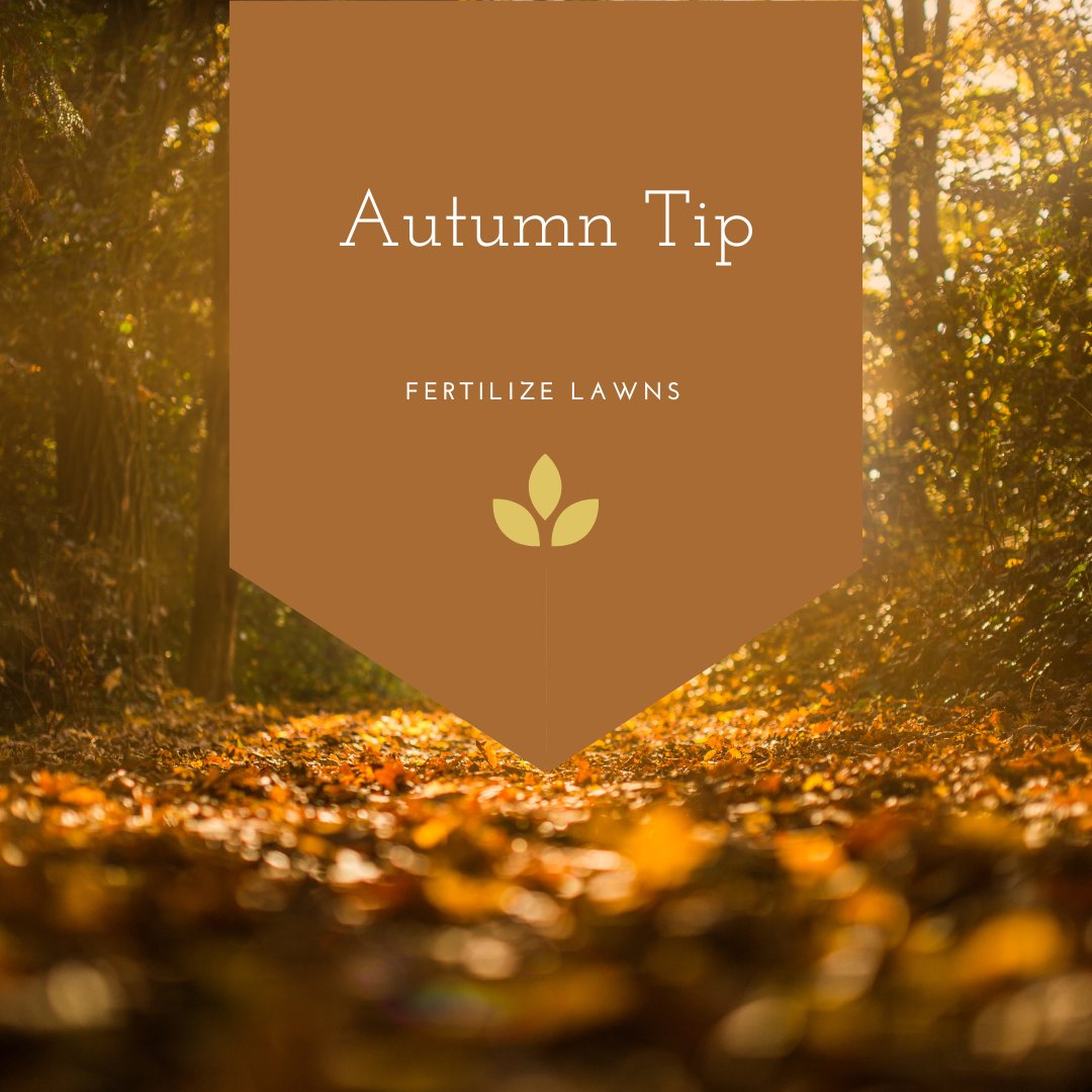 GroundOneMN's tweet image. Use a slow-release fall fertilizer to strengthen grass roots and ensure a lush, green lawn when spring arrives. #GroundOneLandscape
#LandscapeDesign
#OutdoorLiving
#BackyardGoals
#LandscapeArchitecture
