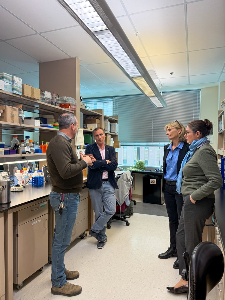 This past October, the Crnic Institute was honored to host Guillame Duriez, MSc, Elise Vivar, PhD, and Laurence Curel, MSc, from the Institut Jérôme Lejeune in France, a leading center for clinical care and Down syndrome research. Thank you, Institut Jérôme Lejeune, for visiting!