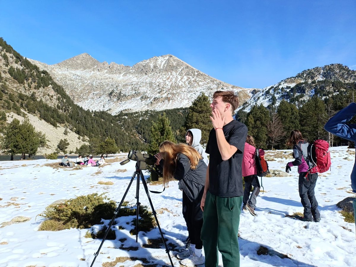 Institut Pere Ribot tweet media