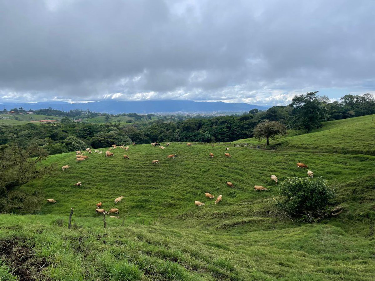 About 15 years ago I bought a farm (instead of Bitcoin). I invested pretty heavily. Pivoted from beef to dairy. Was totally inexperienced. Got robbed blind. My wife forced me to capitulate and just rent it out. Am pleased to report it’s doing fine now. Stick with what you know.💡