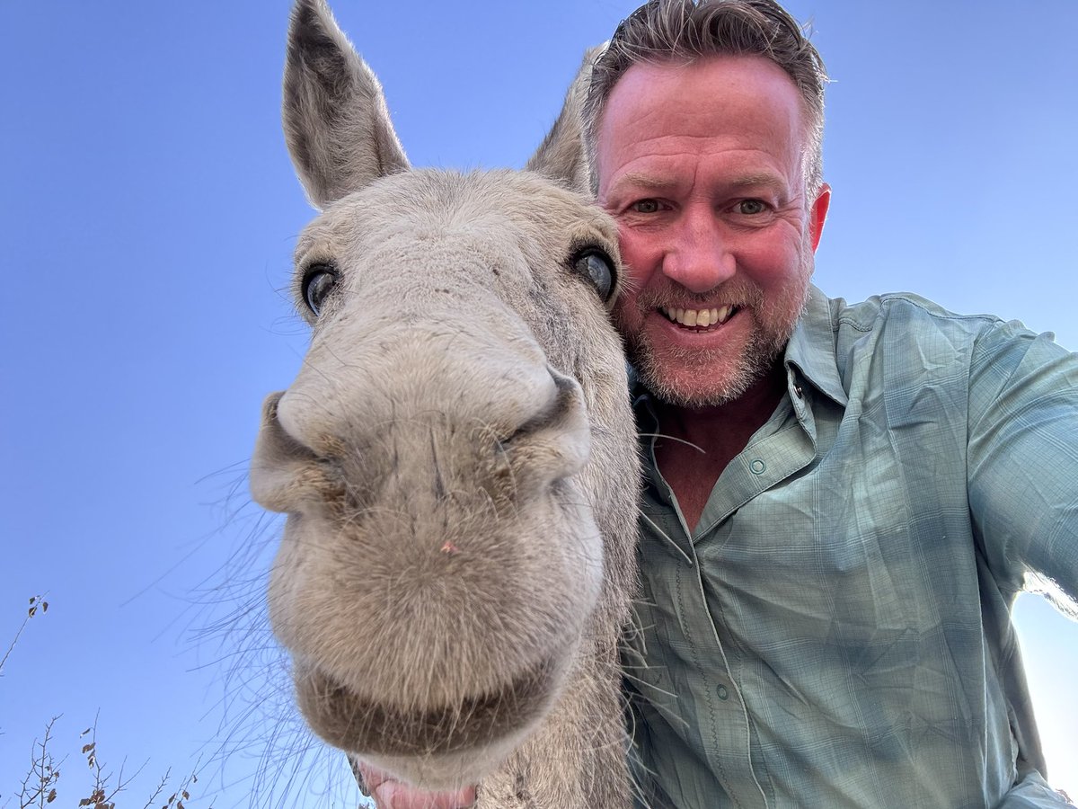 PenFarthing's tweet image. We have played this game before…..
@rickygervais which one is a donkey? 

Clue if you need it….. 
one of them loves @DutchBarnVodka and the other needs all the help it can get….
Donate via @Nowzad  🙏🙏🙏🙏🙏 @PeterEgan6 
#workinganimals #nowzad