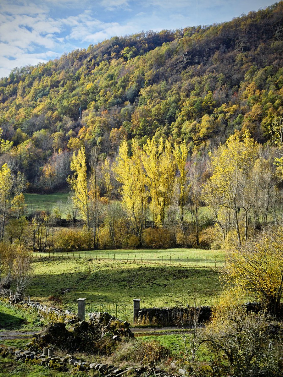 Fayas, negrillos, carballos, bedulares, pláganos... Uno de los meyores bosques mixtos de la montaña occidental llionesa.

🌳 Sousas de Ḷḷaciana.