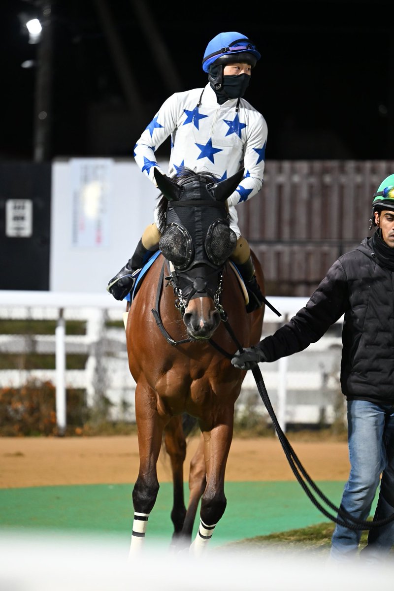 ツチノコ (@kawapurisan) / Posts / X