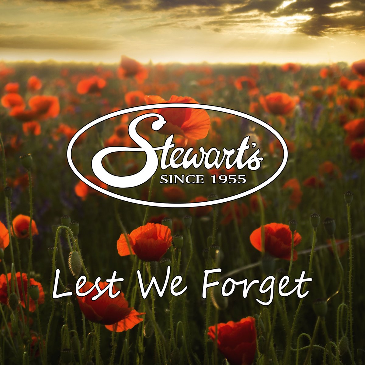 Today, we pause to honour the brave men and women who have served and continue to serve our country.

At Stewart’s Equipment, we join our community in remembering and saying thank you to all who have served. 🌺

#RemembranceDay #LestWeForget #InFlandersFields #JohnMcCrae