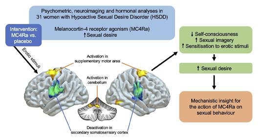 _aestheticprimal_ tweet media