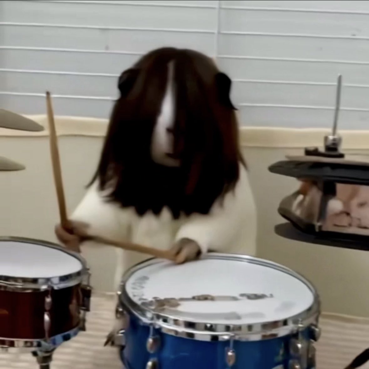 ㅁㅉㅇㅈㅁ tweet media