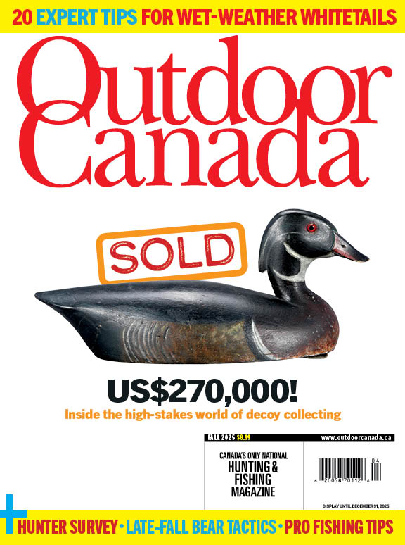 Patrick Walsh tweet media