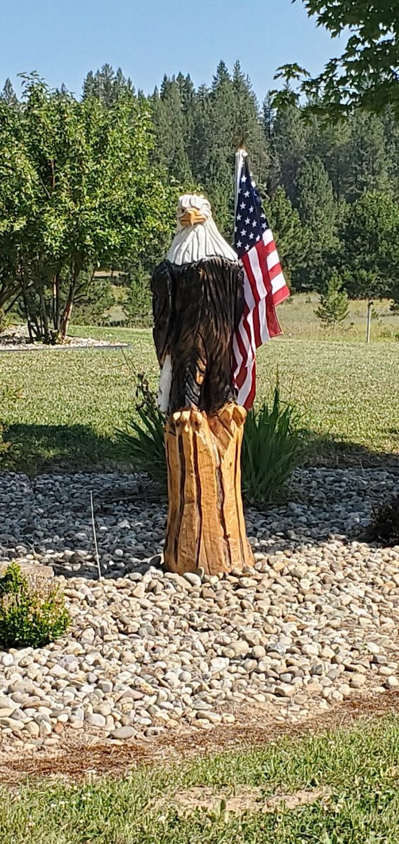DWalkerstudies's tweet photo. Thank you Veterans for serving our country.

Thank you for our freedoms.

From a rich heritage of military family service, I thank the family members who stood/stand beside those serving and their sacrifices.

May God bless each one of you greatly.

#prayer #faith #JesusChrist https://t.co/UtyPynXzrJ