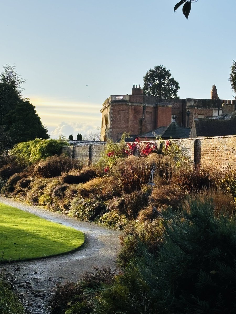 pat havers tweet media